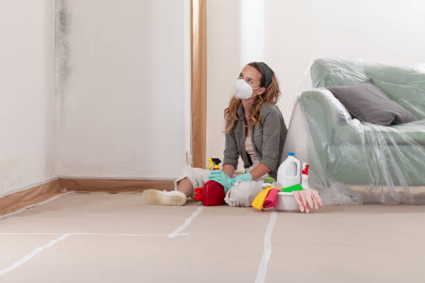 Reliable Crawl Space Mold Removal contractor in Riverdale, MD by WQB Mold Removal